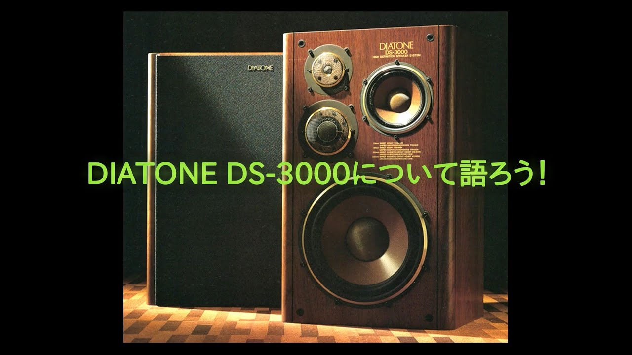 DIATONE DS-301 スピーカー ペア - portwood.ca