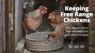 Keeping Free Range Chickens | British Farming
