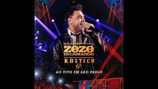 Zezé Di Camargo - Daqui a 20 Anos (RÚSTICO)