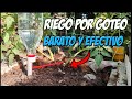 Cómo hacer un sistema de riego por goteo ecológico con una botella reciclada