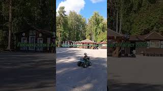 Академгородок. Новосибирск. Лесная сказка. Август 2025г.