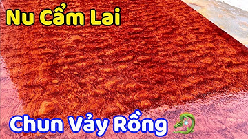 ĐỈNH CAO NGÀNH MỘC - Bàn ăn nguyên khối NU CẨM LAI, CHUN VẢY RỒNG | BGNK1042