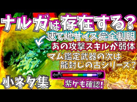 【MHWibアイスボーン】ナルガクルガは存在する??マム鑑定シリーズの次はいにしえ古シリーズ??お肉は超リアル!!小ネタ集【モンハンワールド】