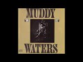 Muddy Waters Mean Old Frisco Blues mp3