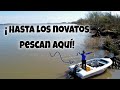 🏕️ Camping OASIS GUAZÚ - Rio Paraná - Pescando en ENTRE RIOS - Hospedaje, Precios (¿Mascotas?)