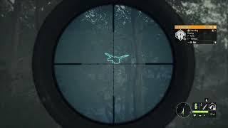 HUNTING My Number 1 Favorite Map! Call of the wild #thehunter #cotw 