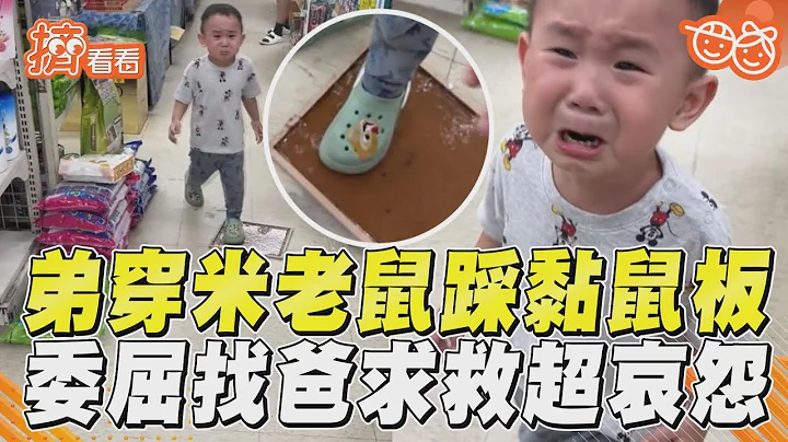 弟穿米老鼠「踩中黏鼠板」　委屈流淚找爸求救超哀怨!｜TVBS新聞｜擠看看@TVBSNEWS01 - 天天要聞