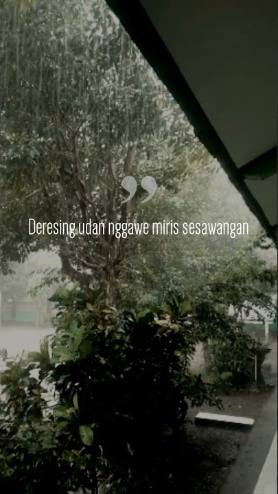 STORY WA - HUJAN | STORY WA BAHASA JAWA - UDAN | STORY WA - HUJAN PAGI SIANG SORE MALAM HARI