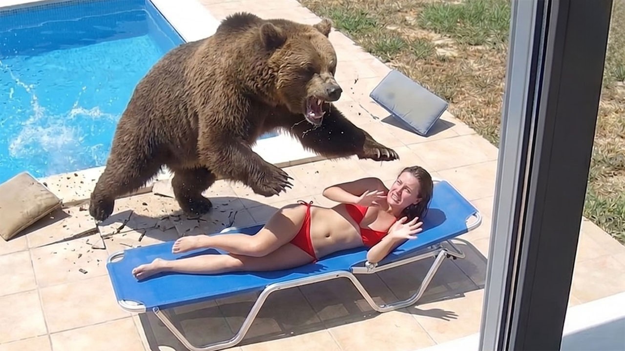 ⁣Most BRUTAL ANIMAL ATTACKS Caught on Camera - Best of Month #24