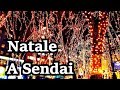 Natale a Sendai - Vivi Giappone