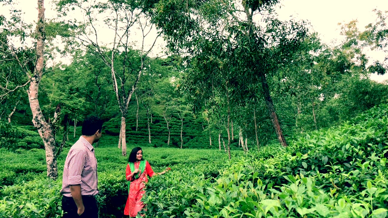 when love is over loaded...