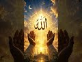 Allaho,allah #allah