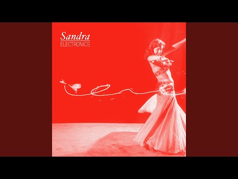 Sandra Electronics — Protection Now !