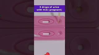 positive pregnancy test vs negative in 30 seconds time lapse #shorts