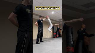 Kwon 540 Kick Challenge #shorts #martialarts #cobrakai