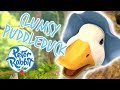 Peter Rabbit - Clumsy Puddleducks Best Moments | Cartoons for Kids