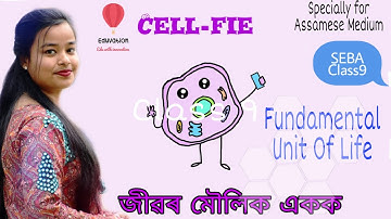 জীৱৰ মৌলিক একক। The Fundamental Unit Of Life, Class9 Chapter 5. SEBA CBSE