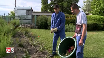 Quelle est la mission d'un ESAT ?