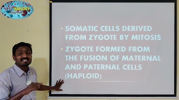 CHROMOSOMAL THEORY SALIENT FEATURES | TAMIL | PRINCIPLES OF INHERITANCE AND VARIATION | STD 12