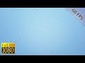 1 Hour of HUGE Snowflakes Falling from the Sky with HD Audio | 1080p FULL HD | 60 FPS