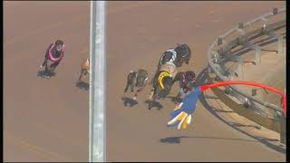 WGL THU 25 APR 19 R12