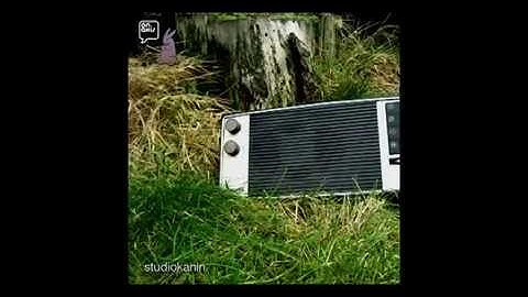 studiokanin - hschband