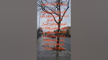 الشيخ سعد الغامدي سورة القارعة