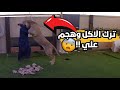 تحدي الوفاء مع الأسد ... صار غير المتوقع !