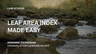 Leaf Area Index made easy with the LP-80 ceptometer