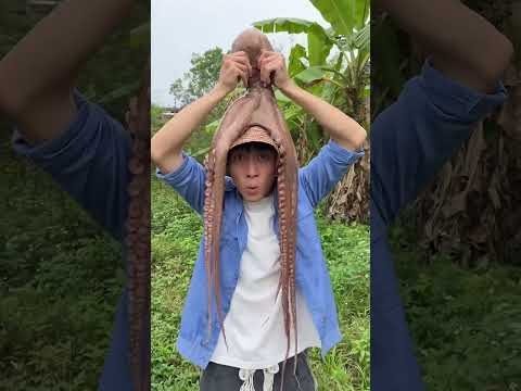 Have You Ever Eaten Sea Monster Octopus Chinese Mountain Forest Life And Food MoTiktok Fyp