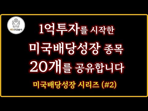 미국배당성장 종목 20개 공유 | 월배당 받으며 하락장에서 꿋꿋이 살아남기 | SOXL, TQQQ와 배당성장주의 시너지 효과