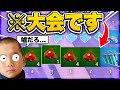 ※これ、大会です【フォートナイト・fortnite】