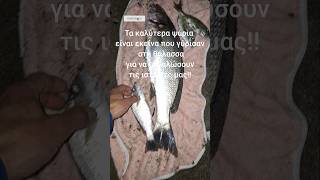 Ψάρεμα απο ακτή! Fishing surf casting!