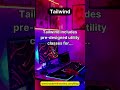Tailwind #tech #softwareengineering #css #softwaredevelopment
