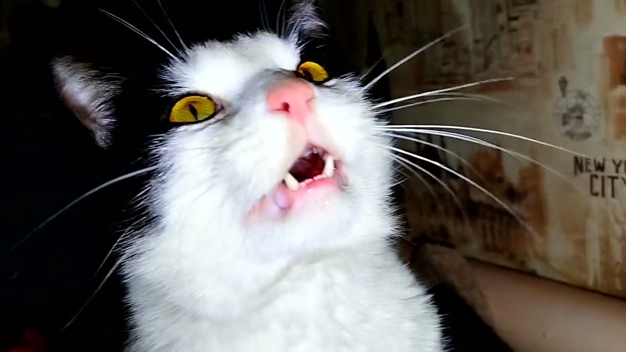 #Славянск. 25 февраля 2026г. Вечер.