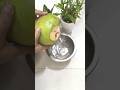 🥥 Coconut Water Ice Apple Juice 🍹 | Natural Summer Drink 🌴 | Healthy &amp; Refreshing 😋