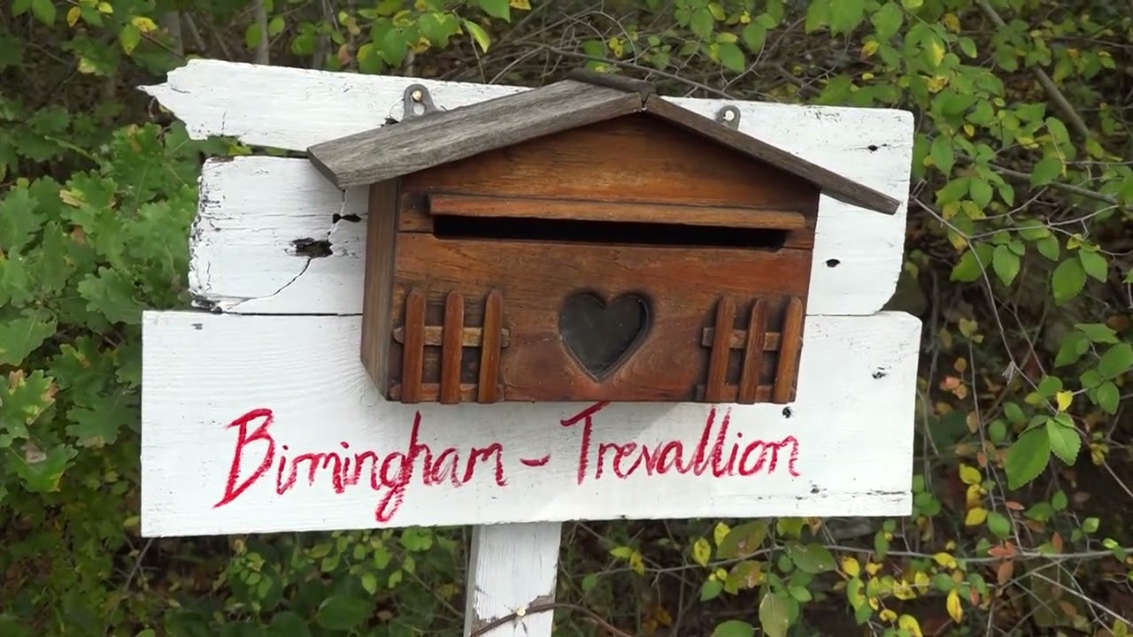 Famiglia nel bosco, la coppia accetta un casolare offerto da un imprenditore - 29/11/2025