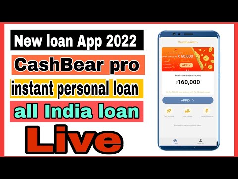 Cash Bear pro