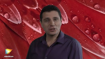 Color Efex Pro 3.0 Complete Workshop Trailer