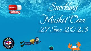 #5 Snorkelling at musket cove Fiji 27june23
