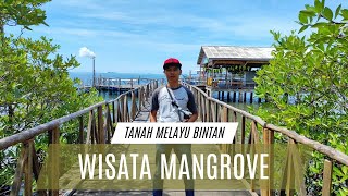 Wisata Mangrove desa Kawal Bintan Tanah Melayu