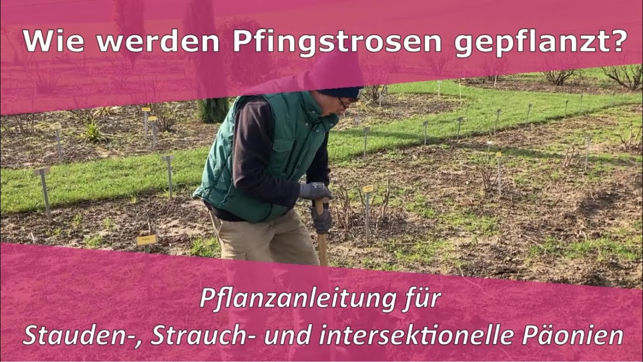 grünland düngen frühjahr Kickstart - Rasendünger Frühjahr main image 1