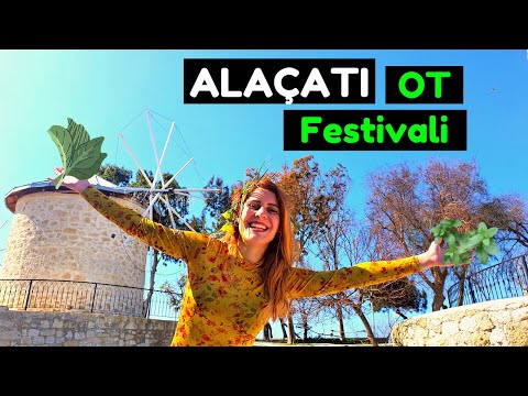 ALAÇATI OT Festivali NASIL Geçiyor? Yemekler, Sergiler, Konserlerle ÇEŞME