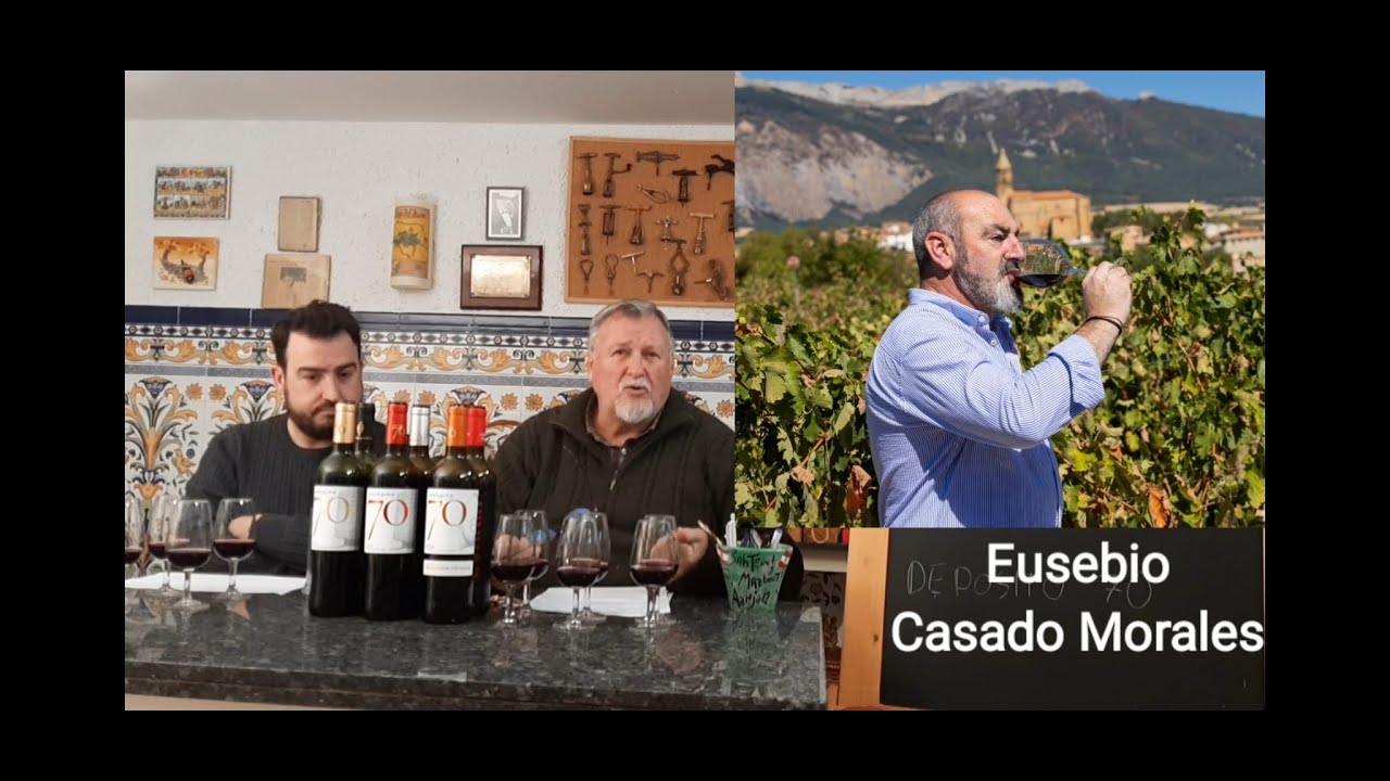 177 - Vinos de Rioja alavesa, ¿Son diferentes del resto de la Rioja?