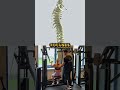 Why Most Online Scoliosis Exercises Don't Work