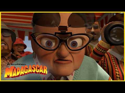 ¡No te metas con la abuela! 🥊👵 | DreamWorks Madagascar en Español Latino