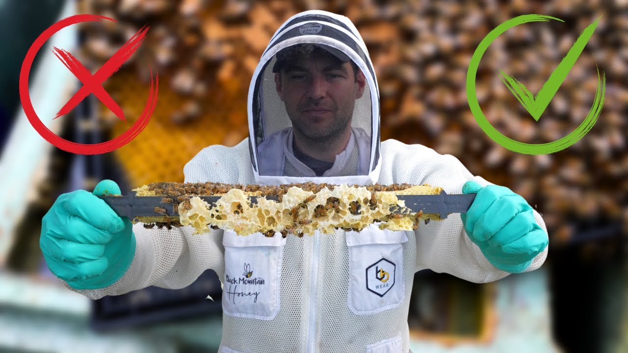 Plastic Frames - The GOOD And The BAD!