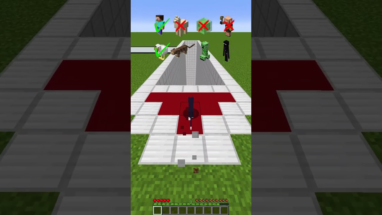 Who will go down to win the Minecraft prize!