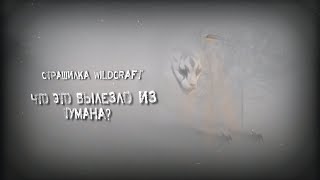 картинка: Страшилка WildCraft 