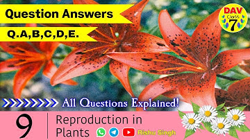 🌼Reproduction in Plants | Dav Class 7 Science Chapter 9 Question Answer | Dav Public School